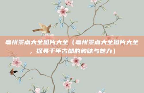 亳州景点大全图片大全(亳州景点大全图片大全,探寻千年古都的韵味与魅力)
