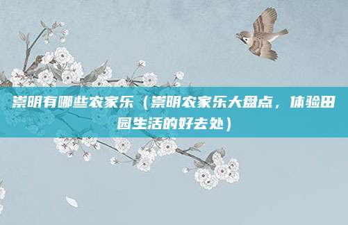 崇明有哪些农家乐(崇明农家乐大盘点,体验田园生活的好去处)