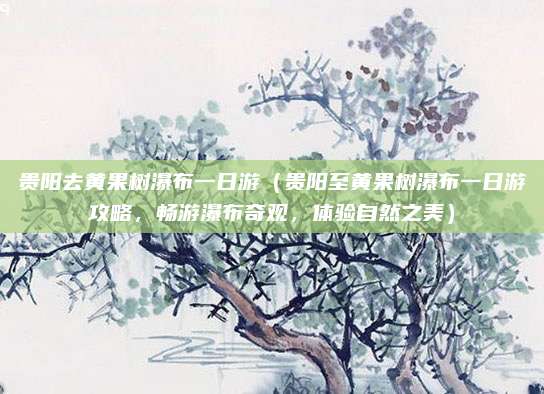 贵阳去黄果树瀑布一日游(贵阳至黄果树瀑布一日游攻略,畅游瀑布奇观,体验自然之美)