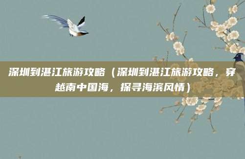 深圳到湛江旅游攻略(深圳到湛江旅游攻略,穿越南中国海,探寻海滨风情)