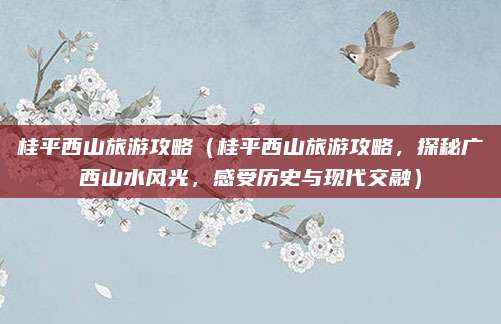 桂平西山旅游攻略(桂平西山旅游攻略,探秘广西山水风光,感受历史与现代交融)