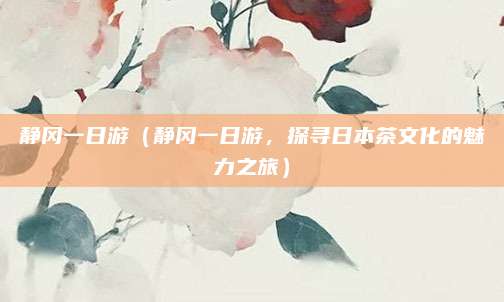 静冈一日游(静冈一日游,探寻日本茶文化的魅力之旅)