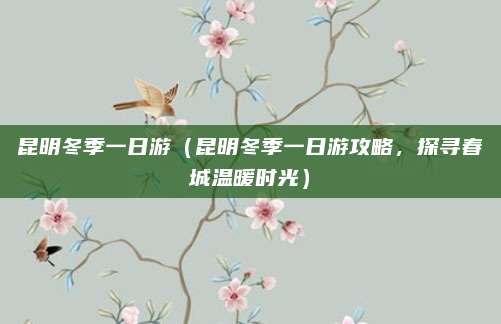 昆明冬季一日游(昆明冬季一日游攻略,探寻春城温暖时光)
