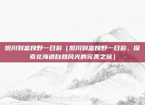 旭川到富良野一日游(旭川到富良野一日游,探索北海道自然风光的完美之旅)