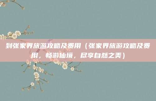 到张家界旅游攻略及费用(张家界旅游攻略及费用,畅游仙境,尽享自然之美)