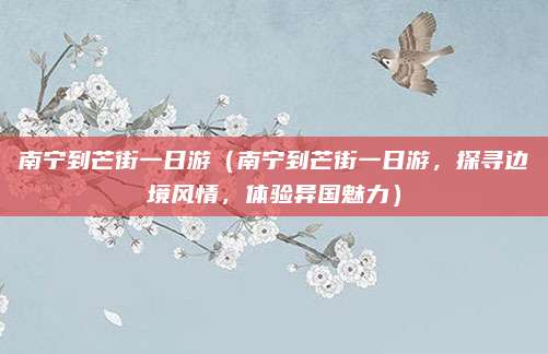 南宁到芒街一日游(南宁到芒街一日游,探寻边境风情,体验异国魅力)