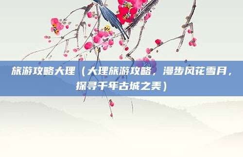 旅游攻略大理(大理旅游攻略,漫步风花雪月,探寻千年古城之美)