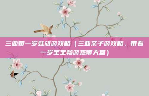 三亚带一岁娃旅游攻略(三亚亲子游攻略,带着一岁宝宝畅游热带天堂)