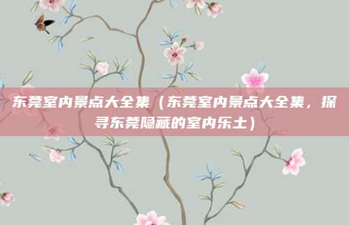 东莞室内景点大全集(东莞室内景点大全集,探寻东莞隐藏的室内乐土)