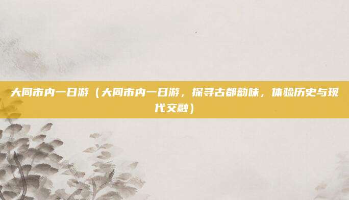大同市内一日游(大同市内一日游,探寻古都韵味,体验历史与现代交融)