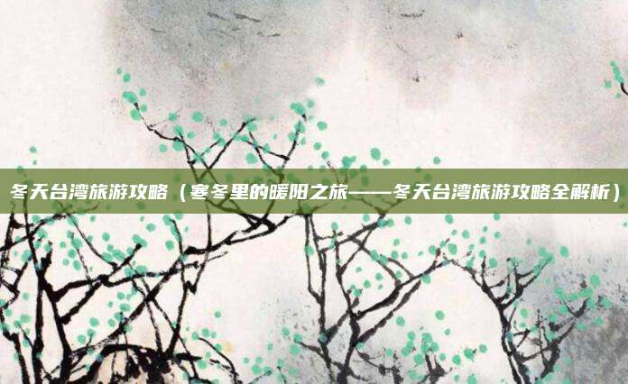 冬天台湾旅游攻略(寒冬里的暖阳之旅——冬天台湾旅游攻略全解析)