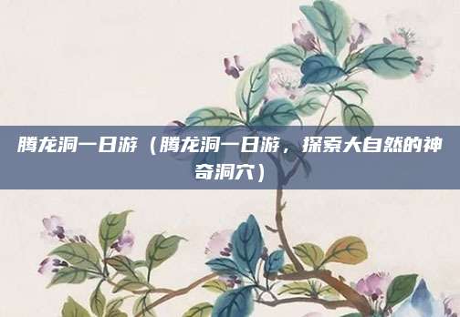 腾龙洞一日游(腾龙洞一日游,探索大自然的神奇洞穴)
