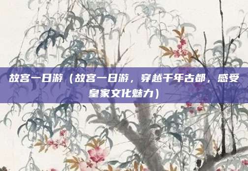故宫一日游(故宫一日游,穿越千年古都,感受皇家文化魅力)