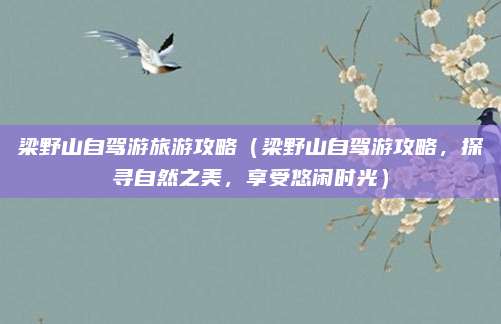 梁野山自驾游旅游攻略(梁野山自驾游攻略,探寻自然之美,享受悠闲时光)