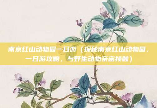 南京红山动物园一日游(探秘南京红山动物园,一日游攻略,与野生动物亲密接触)