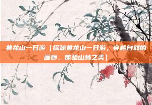 黄龙山一日游(探秘黄龙山一日游,穿越自然的画廊,体验山林之美)