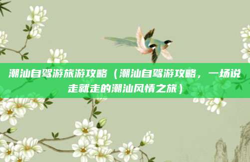 潮汕自驾游旅游攻略(潮汕自驾游攻略,一场说走就走的潮汕风情之旅)