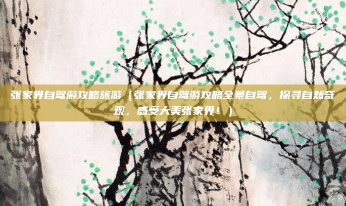 张家界自驾游攻略旅游(张家界自驾游攻略全景自驾,探寻自然奇观,感受大美张家界!)