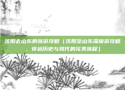 沈阳去山东的旅游攻略(沈阳至山东深度游攻略,穿越历史与现代的完美旅程)