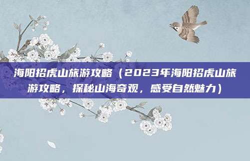 海阳招虎山旅游攻略(2023年海阳招虎山旅游攻略,探秘山海奇观,感受自然魅力)