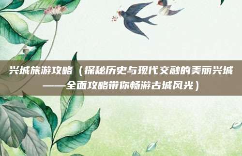 兴城旅游攻略(探秘历史与现代交融的美丽兴城——全面攻略带你畅游古城风光)