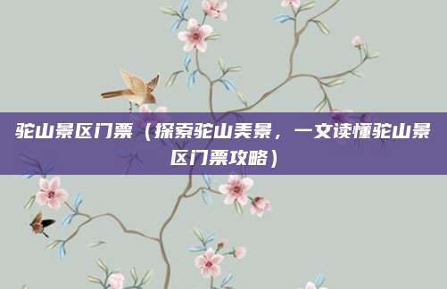 驼山景区门票（探索驼山美景，一文读懂驼山景区门票攻略）