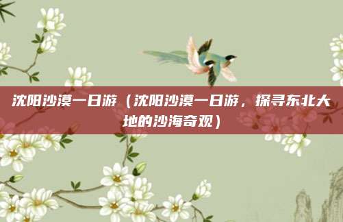沈阳沙漠一日游(沈阳沙漠一日游,探寻东北大地的沙海奇观)