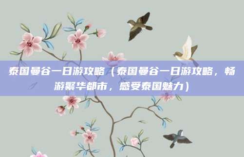 泰国曼谷一日游攻略(泰国曼谷一日游攻略,畅游繁华都市,感受泰国魅力)