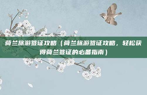 荷兰旅游签证攻略(荷兰旅游签证攻略,轻松获得荷兰签证的必备指南)