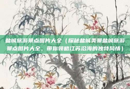 盐城旅游景点图片大全（探秘盐城美景盐城旅游景点图片大全，带你领略江苏沿海的独特风情）