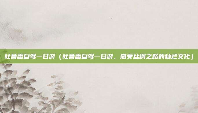 吐鲁番自驾一日游(吐鲁番自驾一日游,感受丝绸之路的灿烂文化)