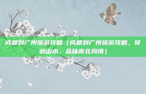 成都到广州旅游攻略（成都到广州旅游攻略，穿越山水，品味南北风情）