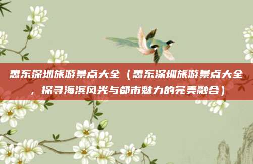 惠东深圳旅游景点大全（惠东深圳旅游景点大全，探寻海滨风光与都市魅力的完美融合）