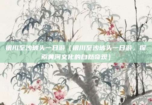 银川至沙坡头一日游（银川至沙坡头一日游，探索黄河文化的自然奇观）