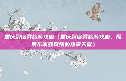 重庆到宿务旅游攻略(重庆到宿务旅游攻略,探索东南亚风情的热带天堂)