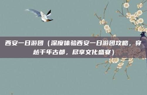 西安一日游团(深度体验西安一日游团攻略,穿越千年古都,尽享文化盛宴)