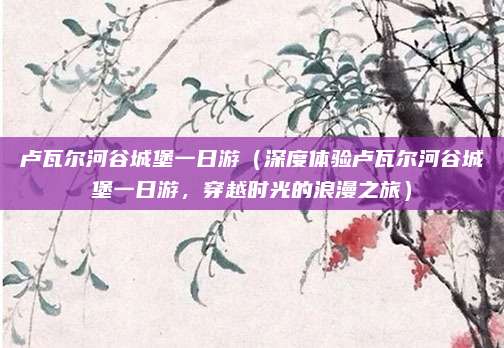 卢瓦尔河谷城堡一日游(深度体验卢瓦尔河谷城堡一日游,穿越时光的浪漫之旅)