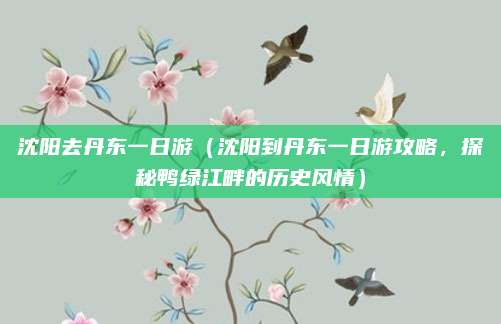 沈阳去丹东一日游(沈阳到丹东一日游攻略,探秘鸭绿江畔的历史风情)