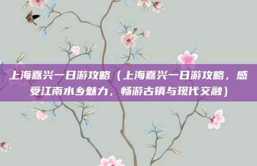 上海嘉兴一日游攻略(上海嘉兴一日游攻略,感受江南水乡魅力,畅游古镇与现代交融)