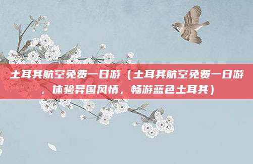 土耳其航空免费一日游(土耳其航空免费一日游,体验异国风情,畅游蓝色土耳其)