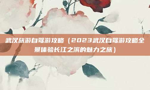 武汉旅游自驾游攻略(2023武汉自驾游攻略全景体验长江之滨的魅力之旅)