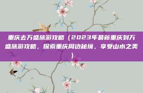 重庆去万盛旅游攻略(2023年最新重庆到万盛旅游攻略,探索重庆周边秘境,享受山水之美)
