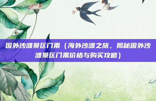 国外沙滩景区门票(海外沙滩之旅,揭秘国外沙滩景区门票价格与购买攻略)