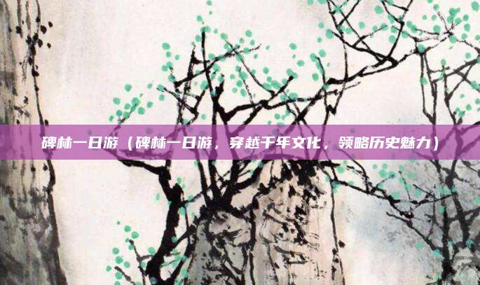 碑林一日游(碑林一日游,穿越千年文化,领略历史魅力)