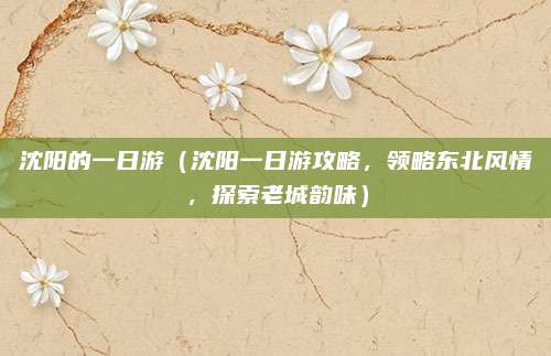 沈阳的一日游(沈阳一日游攻略,领略东北风情,探索老城韵味)