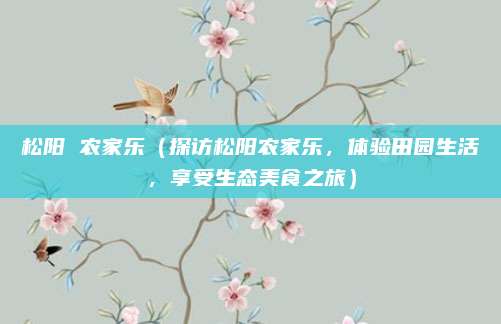 松阳 农家乐(探访松阳农家乐,体验田园生活,享受生态美食之旅)
