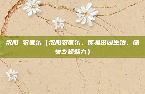 沈阳 农家乐(沈阳农家乐,体验田园生活,感受乡愁魅力)