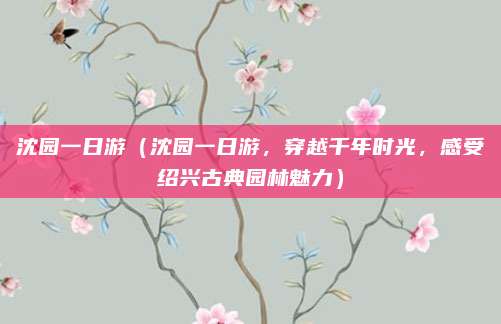 沈园一日游(沈园一日游,穿越千年时光,感受绍兴古典园林魅力)