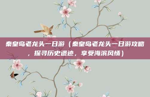 秦皇岛老龙头一日游(秦皇岛老龙头一日游攻略,探寻历史遗迹,享受海滨风情)