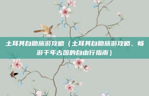 土耳其自助旅游攻略（土耳其自助旅游攻略，畅游千年古国的自由行指南）